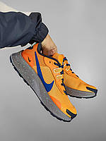 Мужские кроссовки Nike Pegasus Trail 3 Orange Blue Grey