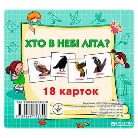 Розвиваючі картки для дітей Хто в небі літає Jumbi J014y, 18 картинок, Toyman
