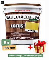 Цветной Лак для Дерева Lotus Глянец Сосна 5 л