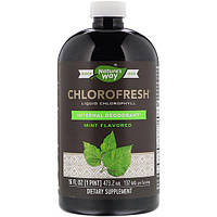 Комплекс для пищеварения Nature's Way Chlorofresh, Liquid Chlorophyll, 16 fl oz 473,2 ml Mint BM, код: 7518137