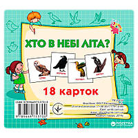 Развивающие карточки для детей Кто в небе летает J014y, 18 картинок от IMDI
