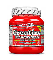 Креатин Amix Nutrition Creatine monohydrate 500 g BM, код: 8072898