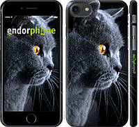 Пластиковый чехол Endorphone на iPhone 7 Красивый кот (3038c-336-26985) VK, код: 1390663