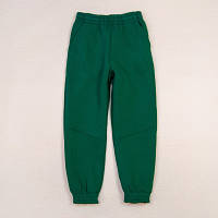 Теплые спортивные штаны emerald Dexters