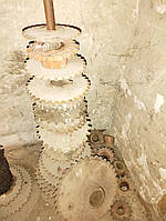 Звёздочка цепная, зірочка цепна