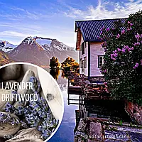 Аромаолія преміум "Лаванда, смола дерев і трави", Lavender driftwood, Candle Science 28 г