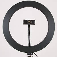 Кільцева світлодіодна LED лампа Flat Ring 8" SM_ITS