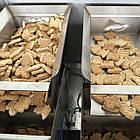 Дозатор ваговий сипучих продуктів 2F-999 MULTIHEAD, фото 2