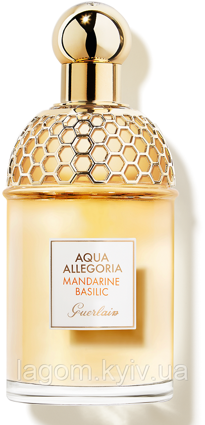 Наливні парфуми аналог Aqua Allegoria Mandarine Basilic Guerlain 100 мл Reni 479 жіночі духи, парфумерна вода, фото 1