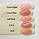 Acrylatic TAN (Polygel) 1кг, фото 3
