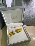 Діор сережки / Dior, фото 6