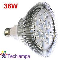 Фитолампы Led Full 36W E27