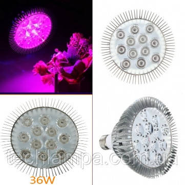 Фитолампы Led Full 36W E27