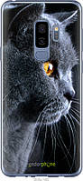 Силиконовый чехол Endorphone Samsung Galaxy S9 Plus Красивый кот (3038u-1365-26985) PK, код: 7500689