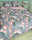 Постільна білизна бязь Букет тюльпанів, фото 4