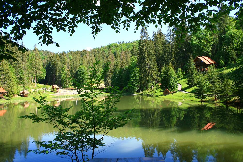 Картина на полотні "Природа" (N348), фото 1