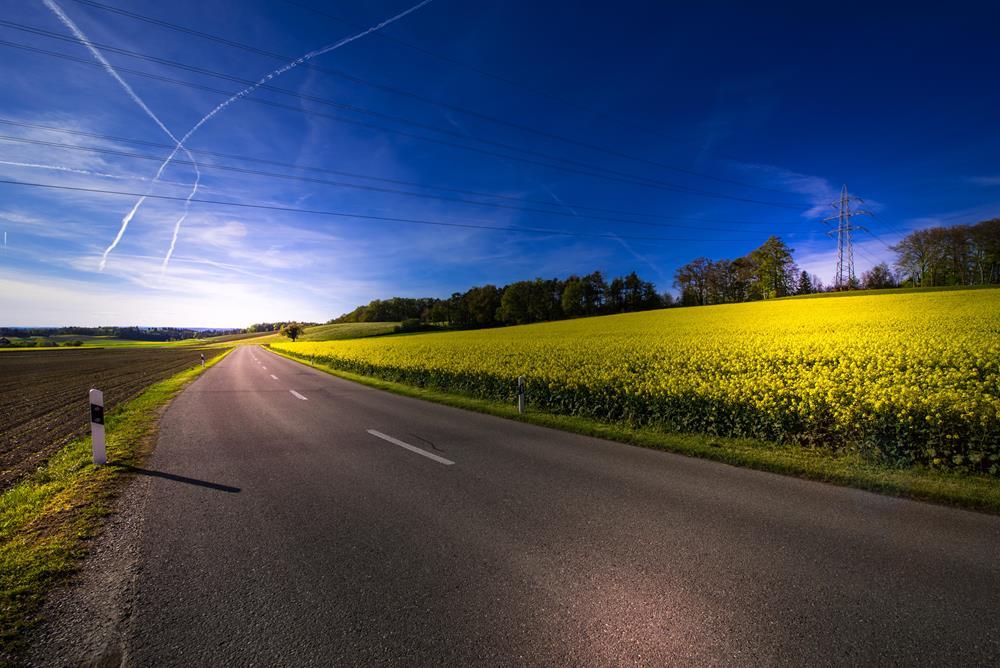 Картина на полотні "Дорога" (N357)