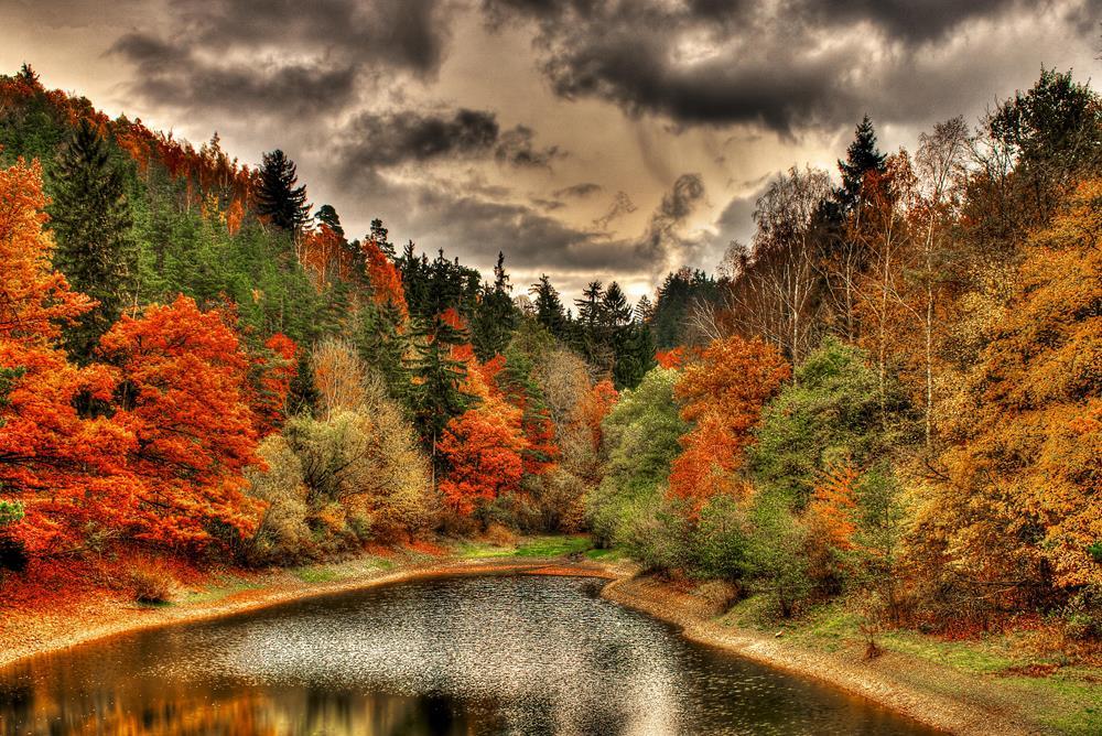 Картина на полотні "Природа" (N367), фото 1