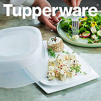 NEW Умная сырница прямоугольная Tupperware 30,6 х 20,5 х 8,31 см