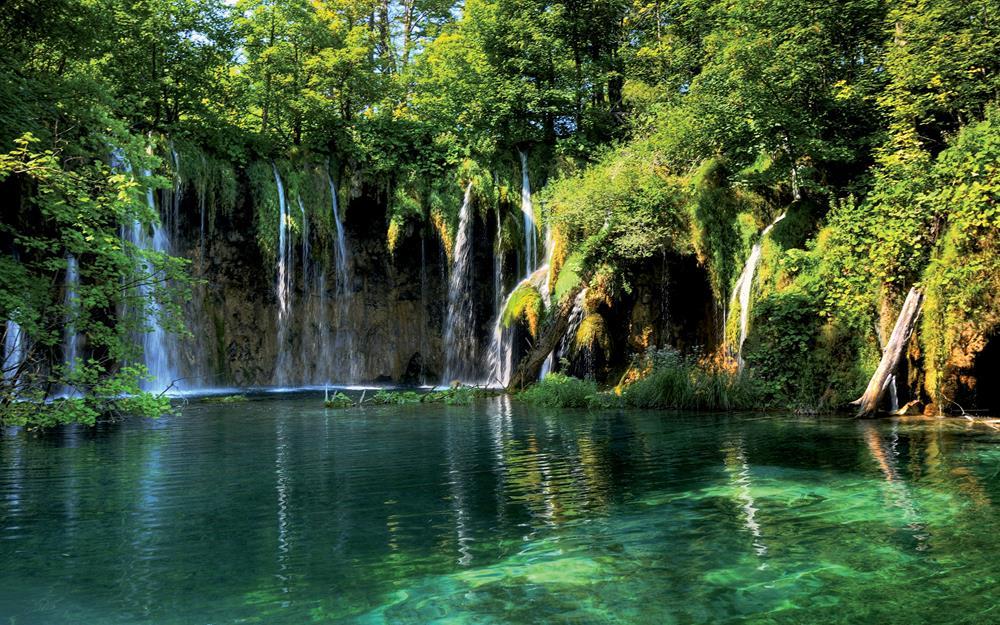 Картина на полотні "Водоспад" (N225)