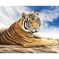 Алмазная мозаика квадратными стразами Сибирский тигр Алмазная вышивка животные на подрамнике 40х50 Strateg