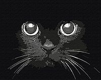 Картины раскраски по цифрам кот Взгляд ночи 40х50см Картина по номерам котик на холсте BrushMe BS52234