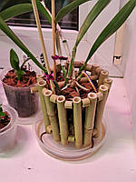 Корзина для орхидей из бамбука "Средняя"