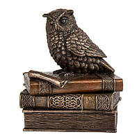 Скринька "Мудра сова" 11 см