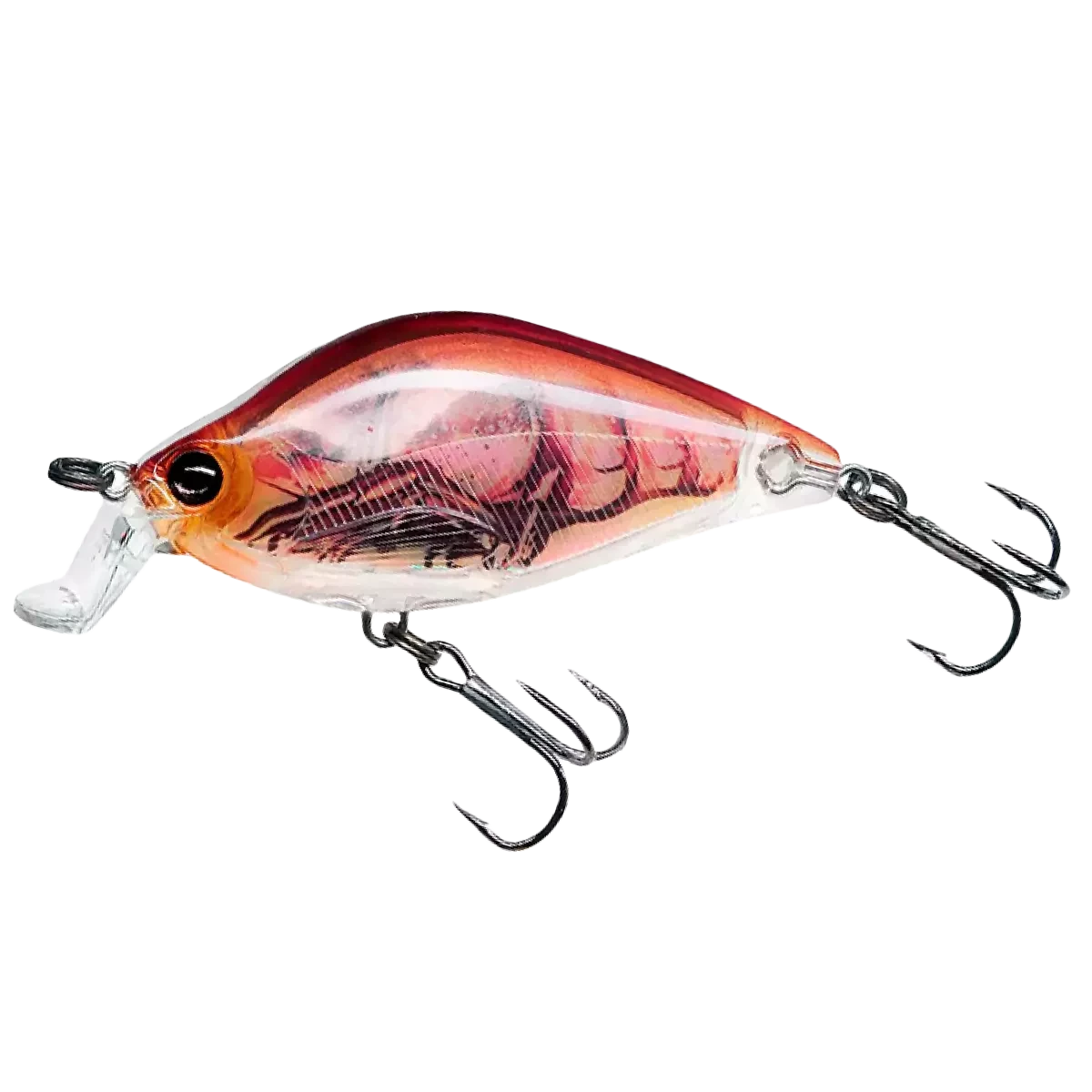 Воблер Yo-zuri R1320 3DR Flat Crank 55F, фото 1