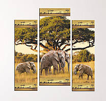 Модульная картина "Слоны и слоненки"