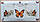 Набір кухонних рушників Merzuka Monarch butterfly 3шт. 30х50см, фото 3
