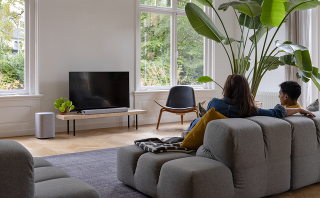 Harman Kardon Citation Sub S Grey
