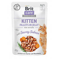 Brit Care Kitten Пікантний лосось в желе для кошенят 85 гр