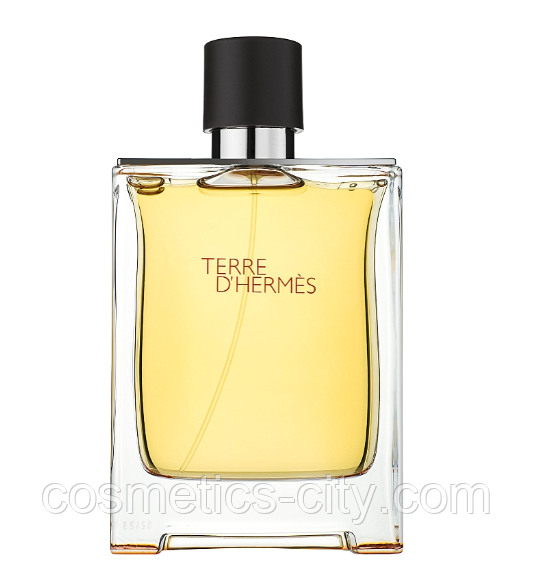 Туалетная вода мужская Terre D`Hermes pour homme, 100 мл.