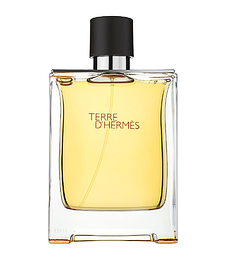 Туалетная вода мужская Terre D`Hermes pour homme, 100 мл.