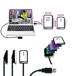 Візіографи