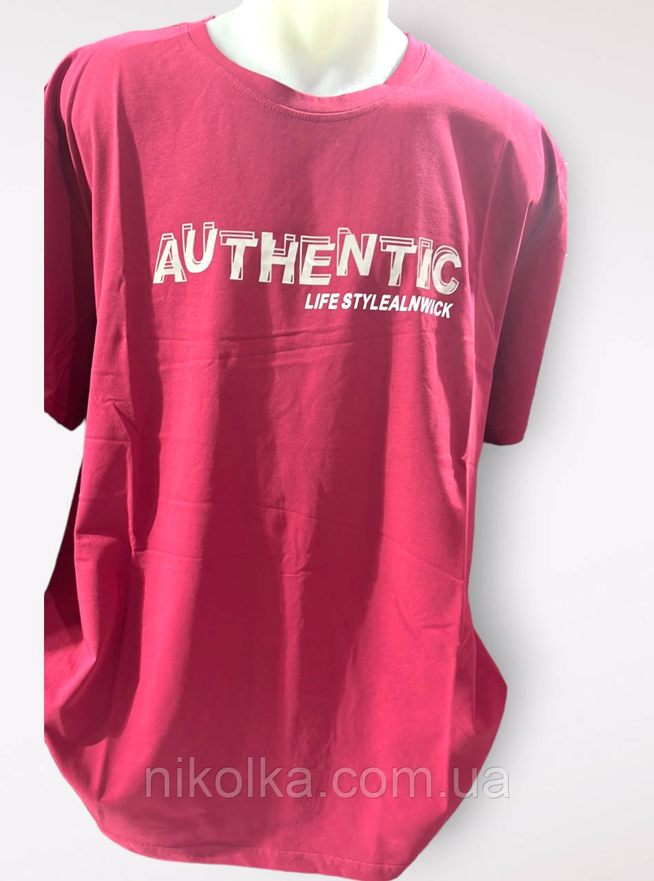 Футболки чоловічі гуртом, 3XL-6XL рр., арт. Si-5912