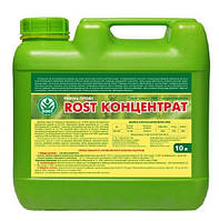 Rost концентрат 300 мл 5.5.5, Кісон