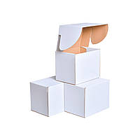 Картонні коробки 220x155x175 білі