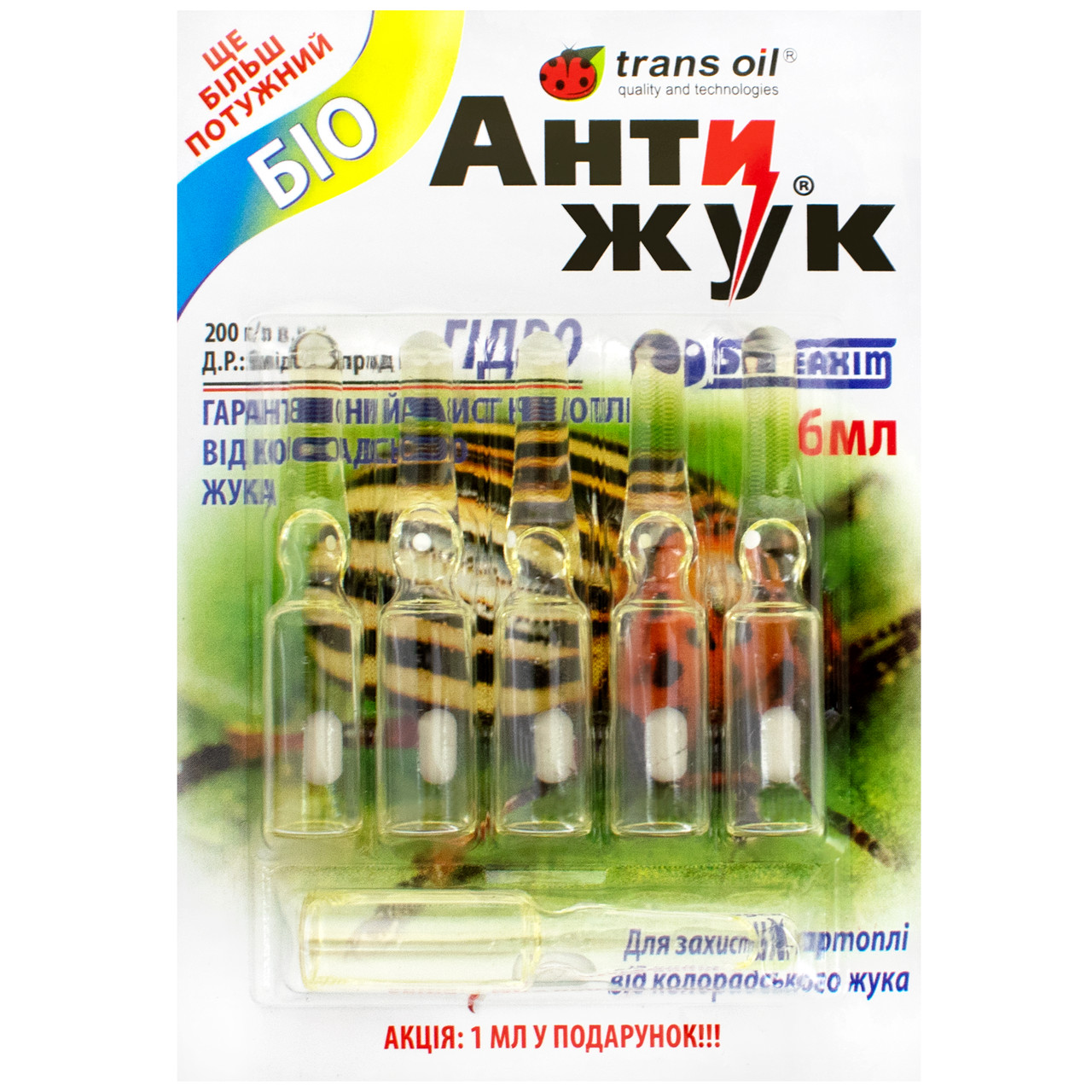 Олар егде адамға жұдырықтайды