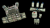 LI Комплект на фастексах плитоноска з боковими кишенями + РПС та 8 підсумків мультикам ВТН