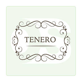 Передпокій Тенеро