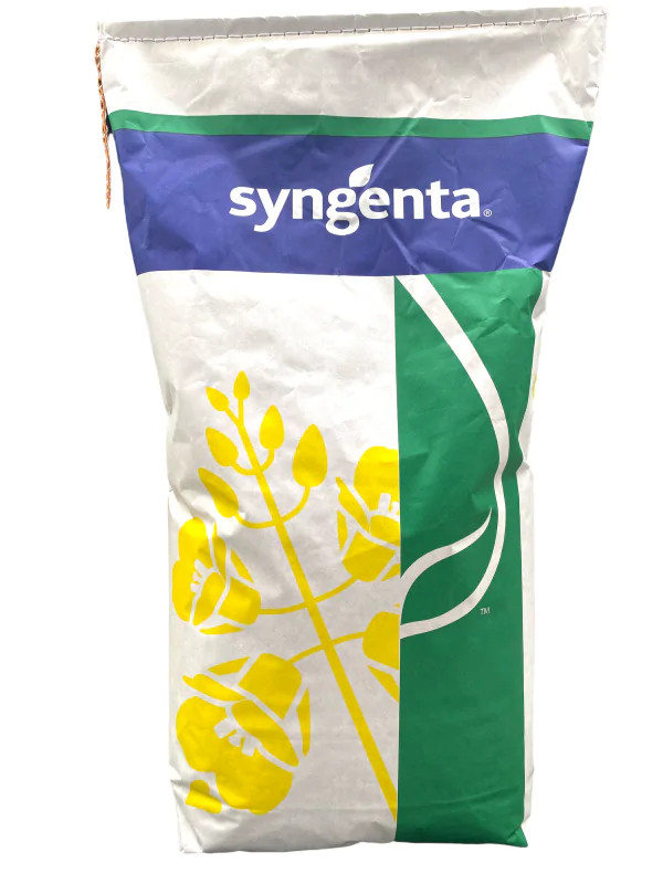 Озимий ріпак Гладіус Syngenta