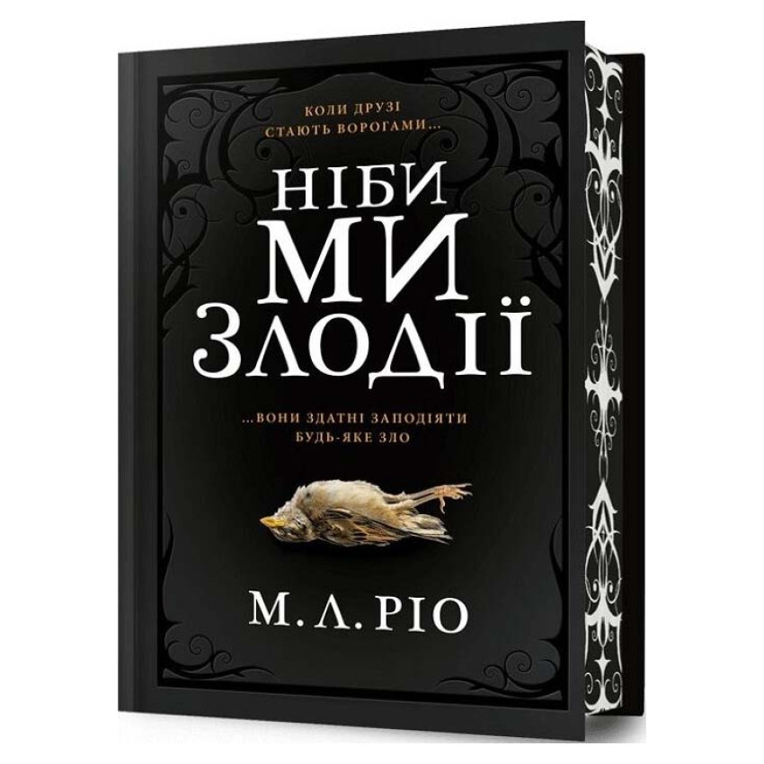 Книга Ніби ми злодії (Limited edition). М.Л. Ріо, фото 1