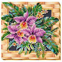 Набір-міді Для Вишивання Бісером "каттлея" Amb-027 На Натуральному Полотні Toyvoo