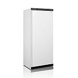 Холодильна шафа TEFCOLD UR600, фото 2
