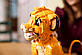 Конструктор Lego Disney Юний король Лев Сімба 43247, фото 9
