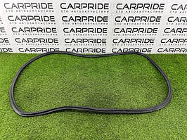 Ущільнювач дверцята AUDI A8 D4 4 2011 перед. (б/у)