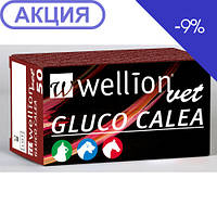 Wellion Vet GLUCO CALEA teststrips, box of 50 (тест полоски 50 ед.)