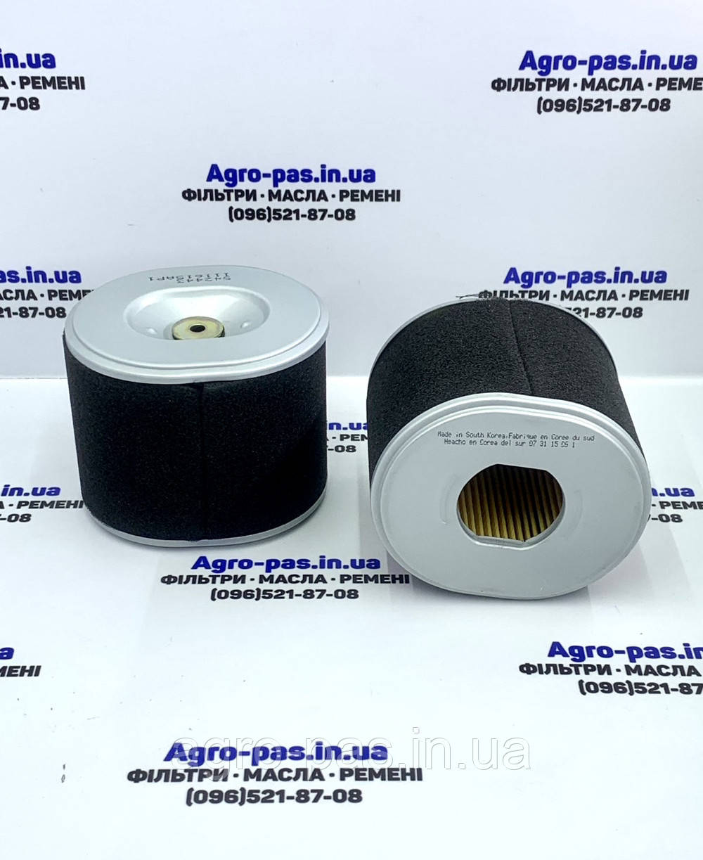 Повітряний фільтр P607254, 42443, A8014, 17210ZE3000, AFZE30, SA12000, 1000133383, AF25474, PA3957, фото 1